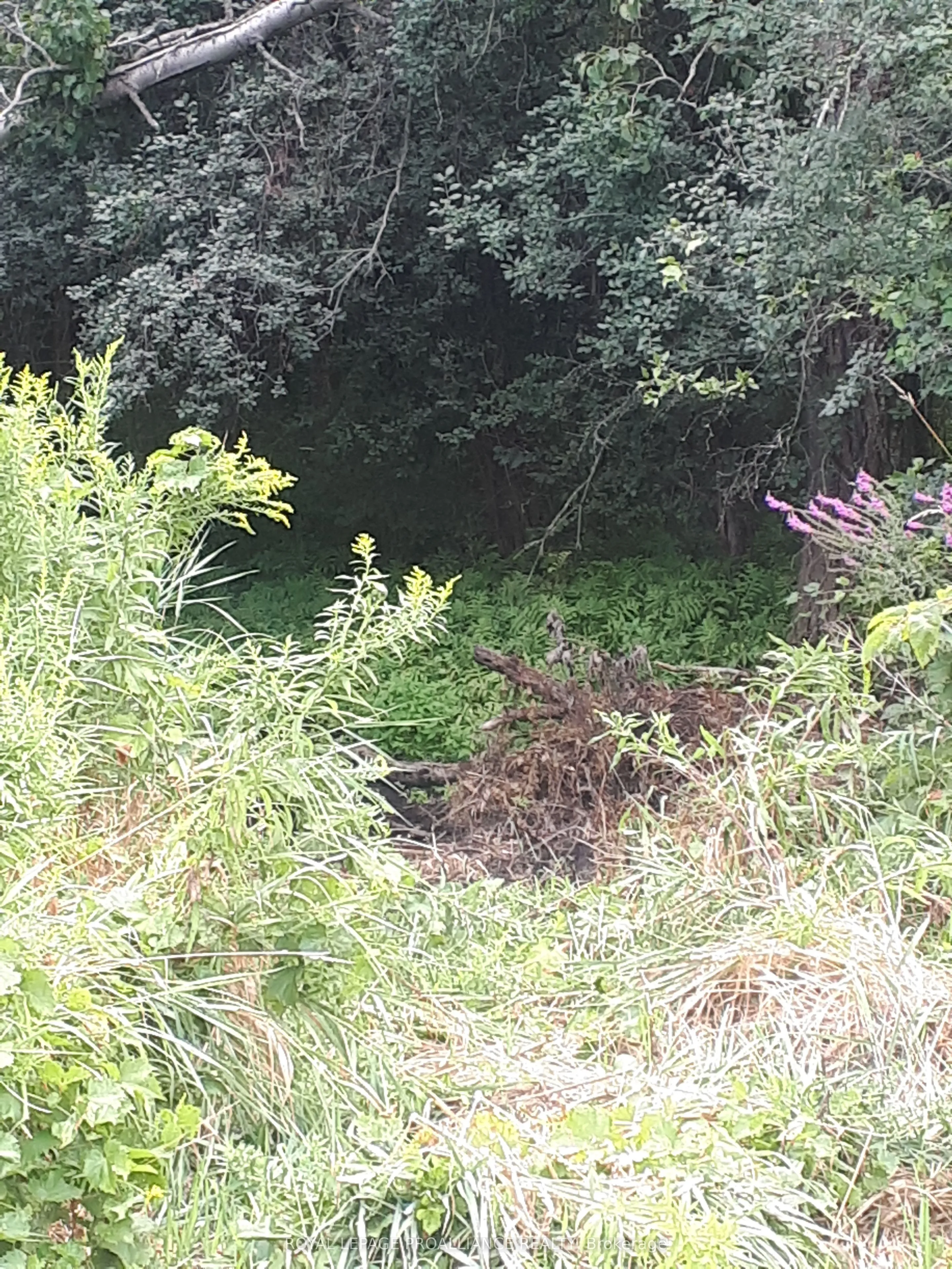 001 Lot 2 Conc 7 N/A, ON L0A 1B0