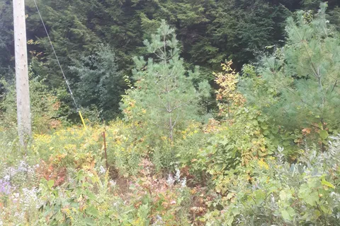 001 Lot 2 Conc 7 N/A, ON L0A 1B0