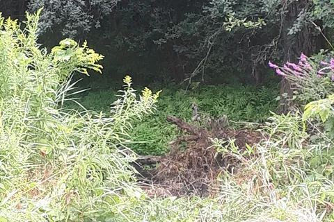 001 Lot 2 Conc 7 N/A, ON L0A 1B0