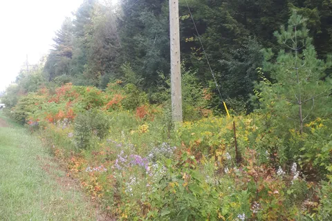 001 Lot 2 Conc 7 N/A, ON L0A 1B0