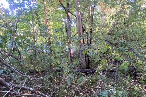 0 County Rd 6 N/A, ON K0K 3N0