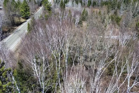 Lot 1 Tomiko Road, ON P0H 1L0