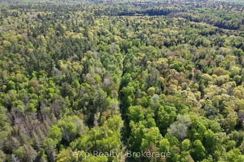 Lot 20 Centre Road, ON P0G 1C0