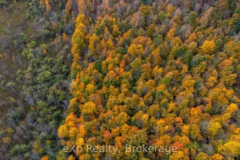 084482 6 Side Road, ON N0H 1E0