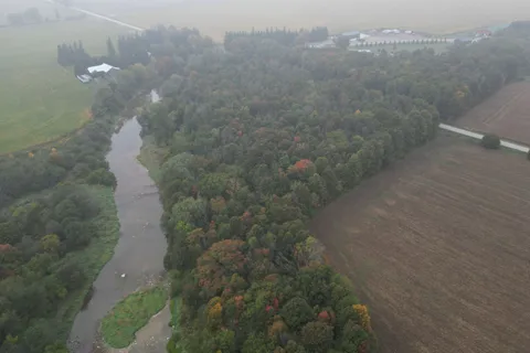 42951 Cranbrook Road, ON N0G 1H0