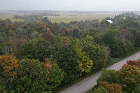 42951 Cranbrook Road, ON N0G 1H0