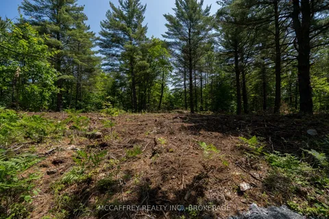 9804 HIGHWAY 38 N/A, ON K0H 1T0