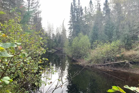 101 Proudfoot Road, ON P0A 1Z0