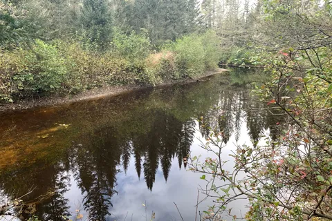 101 Proudfoot Road, ON P0A 1Z0