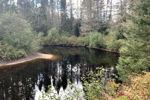 101 Proudfoot Road, ON P0A 1Z0