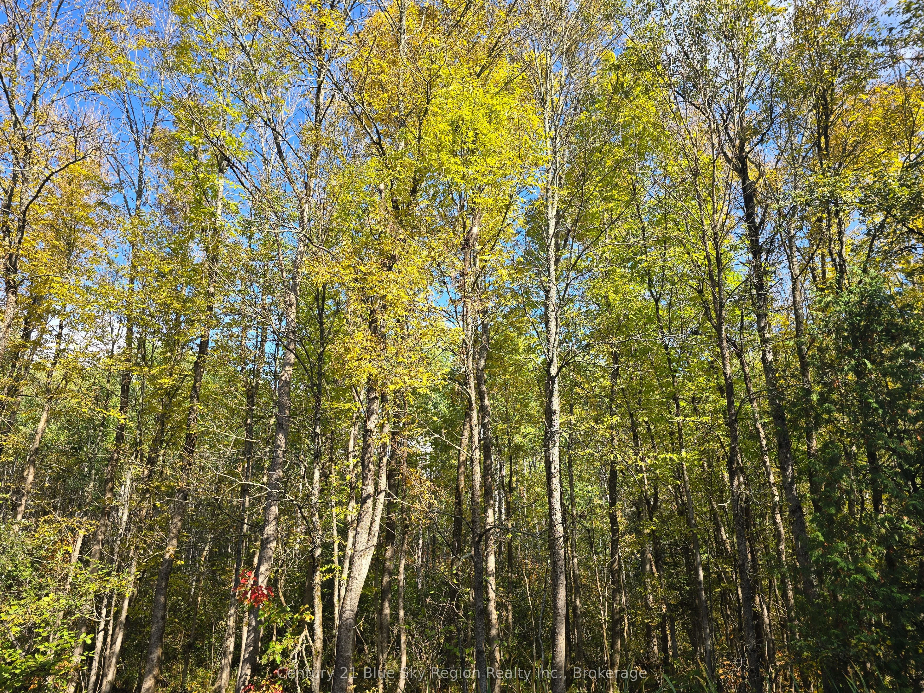 LOT 5 CON 3 Guillemette Road, ON P0H 2C0