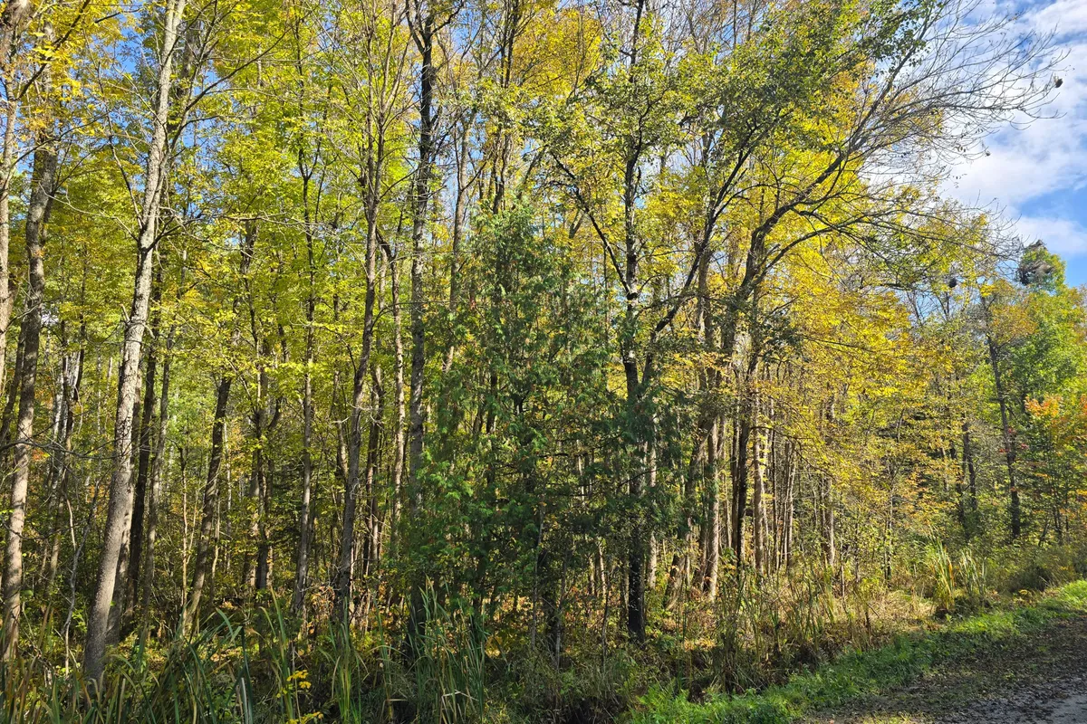 LOT 5 CON 3 Guillemette Road, ON P0H 2C0