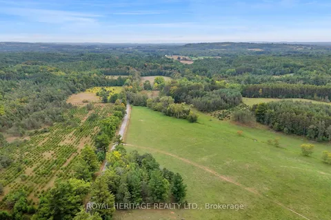 9672 Walker Road, ON L0A 1B0