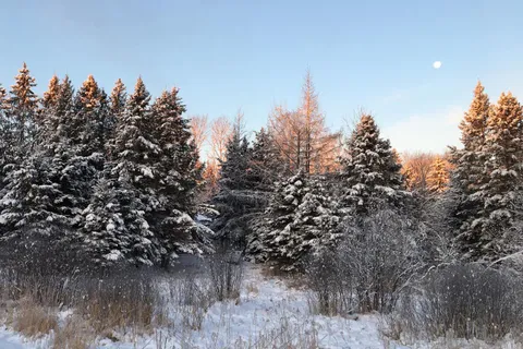 00 Rye Road, ON P0A 1X0