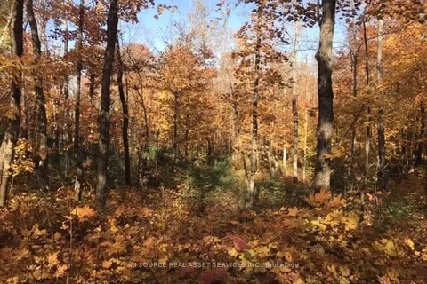 00 Rye Road, ON P0A 1X0