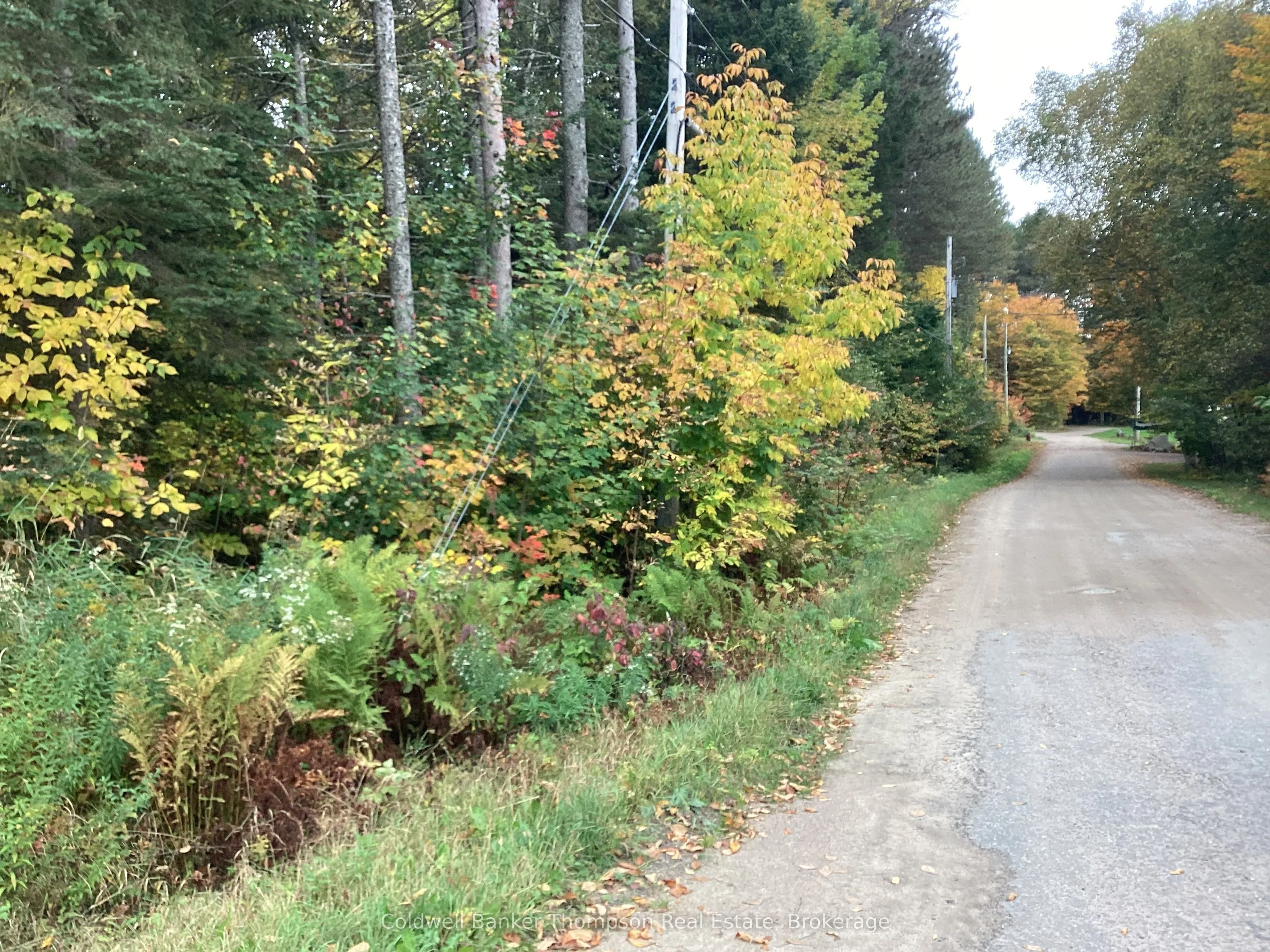 4 Snowshoe Lane, ON P0A 1L0