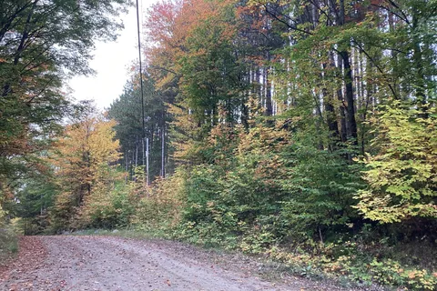 4 Snowshoe Lane, ON P0A 1L0