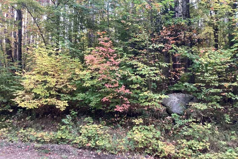 4 Snowshoe Lane, ON P0A 1L0