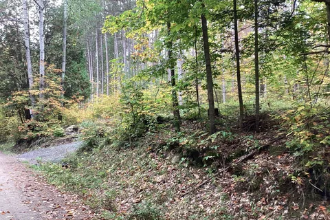 4 Snowshoe Lane, ON P0A 1L0