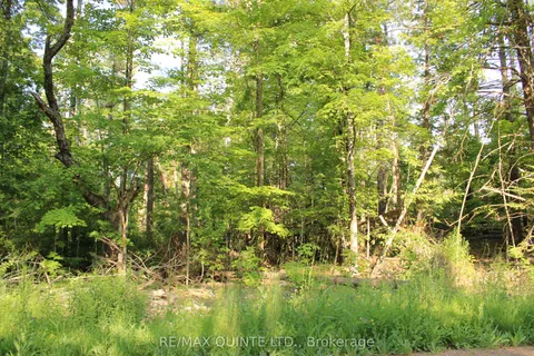 494 Twin Sister Lakes Road, ON K0K 2M0