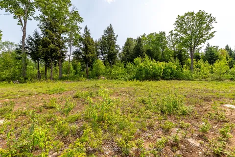 223 Peggs Mountain Road, ON P0A 1C0