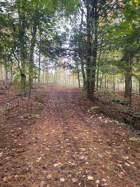 1738 County 2 Road, ON K0E 1T0