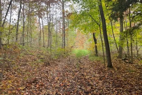 1738 County 2 Road, ON K0E 1T0