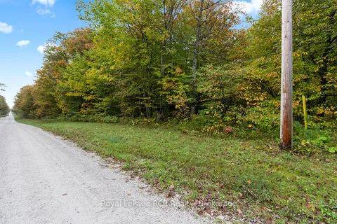 Pt W Half Lot 3 Concession 4A Concession, ON N0C 1H0