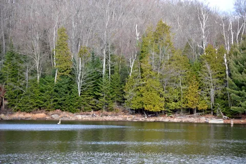 0 Clive Trail, ON K0M 1S0