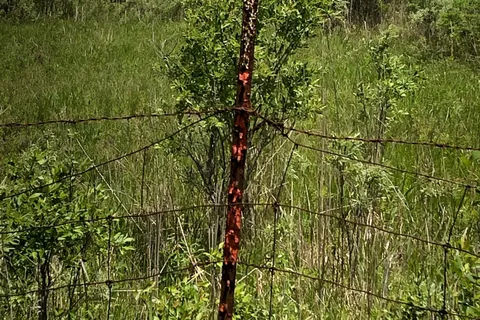 3501 COUNTY RD 15 Road, ON K6V 5T1