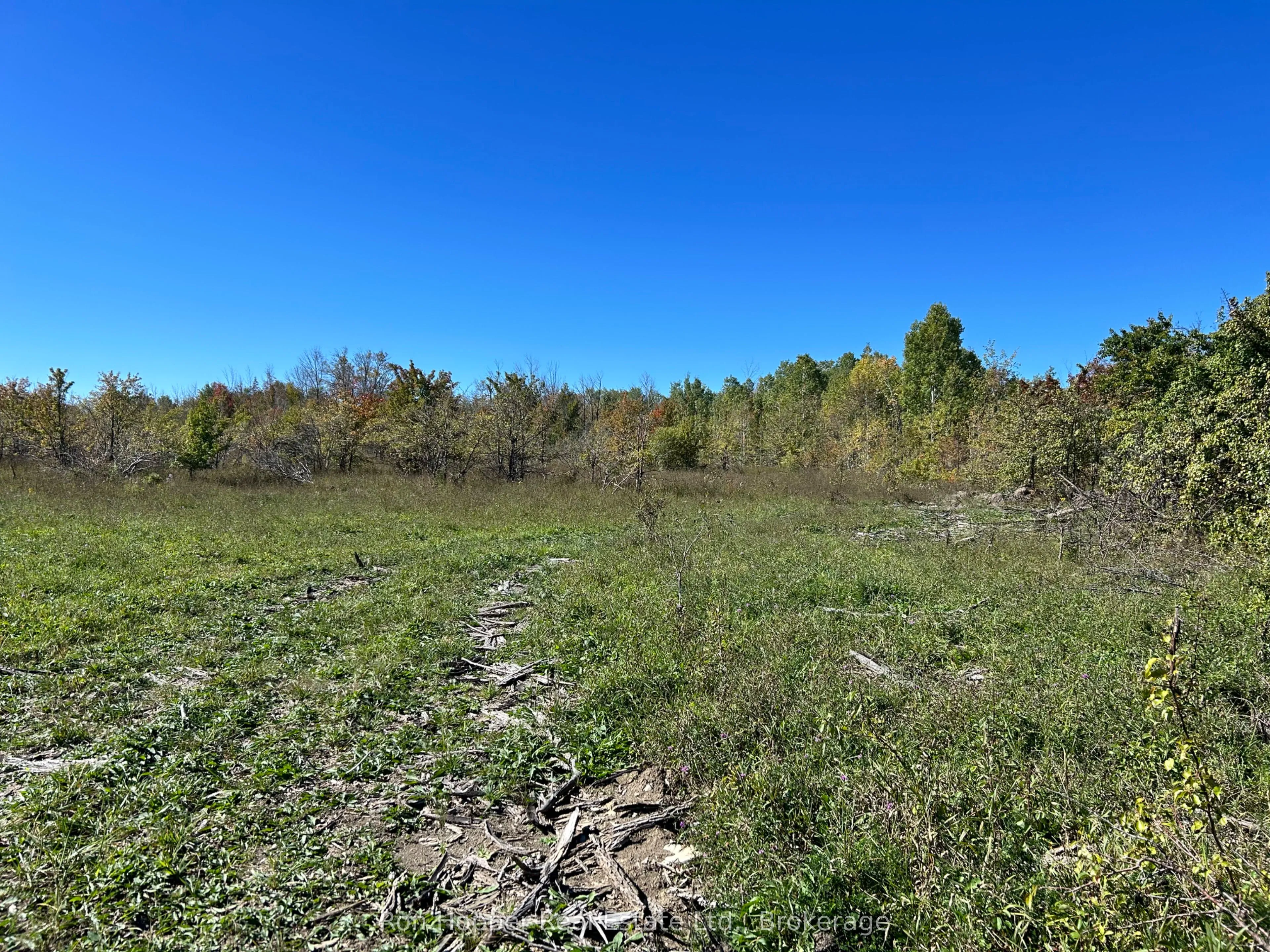 Pt lt 19 Conc. 20 Concession, ON N0H 1S0