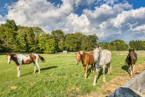 503 Metler Road, ON L0S 1M0