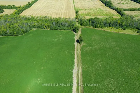 17511 Loyalist Parkway, ON K0K 3L0