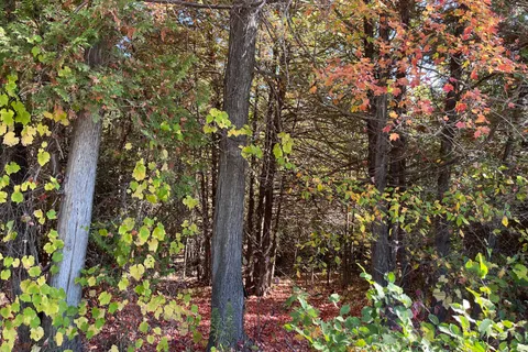 N/A KOA Road, ON K0K 2M0