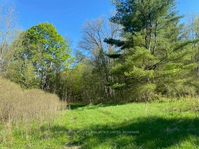 3519 County Rd 3 Road, ON K0E 1N0