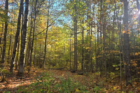 0 Dalhousie Con 4 Concession, ON K0G 1K0