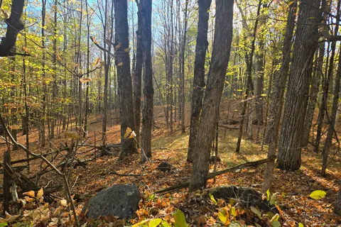 0 Dalhousie Con 4 Concession, ON K0G 1K0