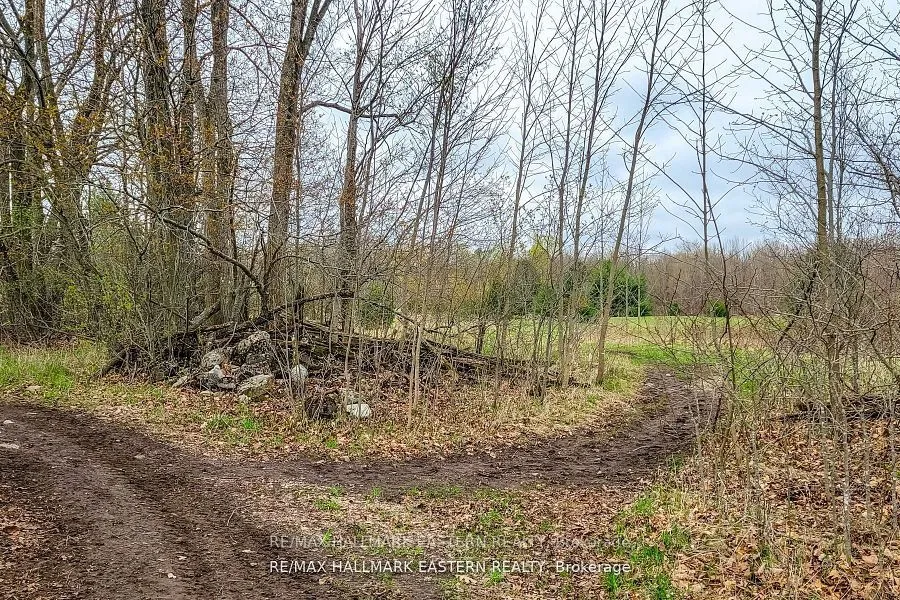 1737 Thirteenth Line, ON K0L 2H0