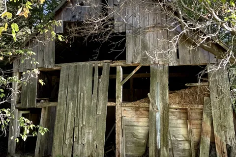 523 Lower Oak Leaf Road, ON K0E 1B0