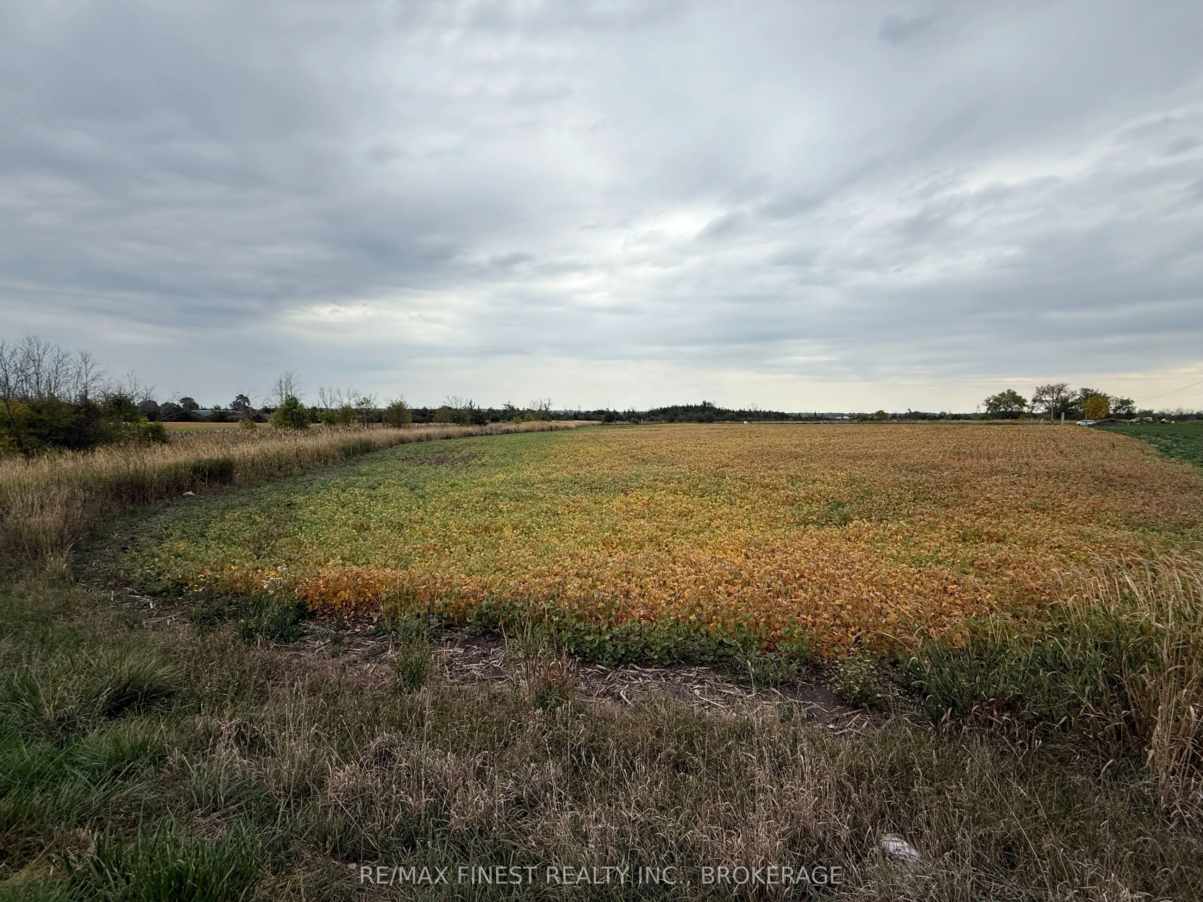 208A Drive In Road, ON K7R 3L1