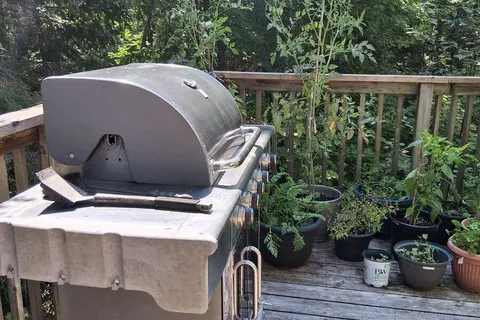 175 Old Man's Lake Lane, ON P0A 1P0