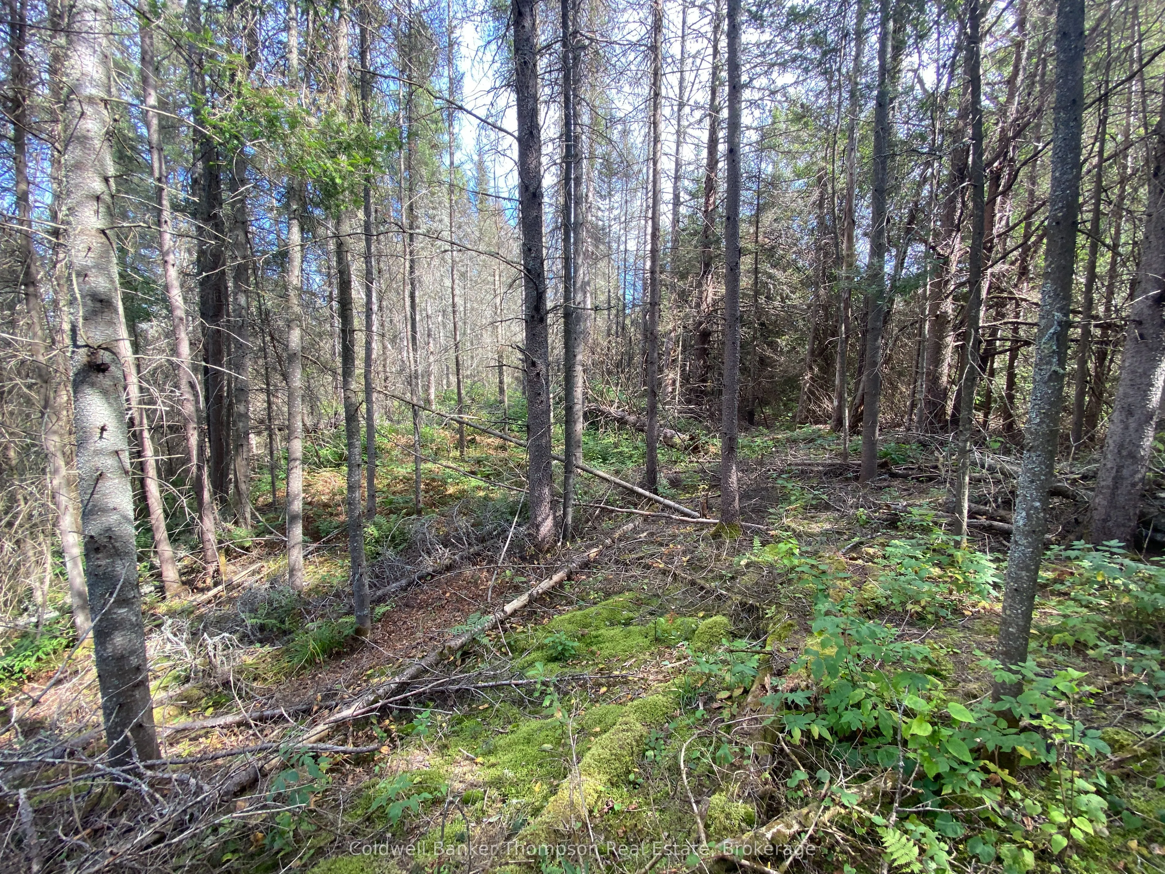 0 Municipal Road, ON P0A 1X0