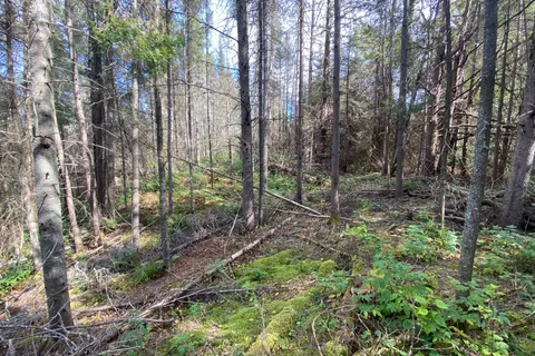 0 Municipal Road, ON P0A 1X0