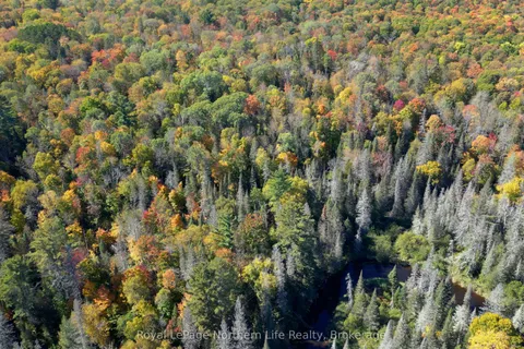 PT LT 5 Con 14 South Horn Lake Road, ON P0A 1C0