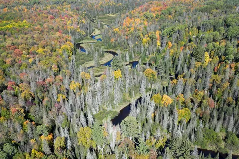 PT LT 5 Con 14 South Horn Lake Road, ON P0A 1C0