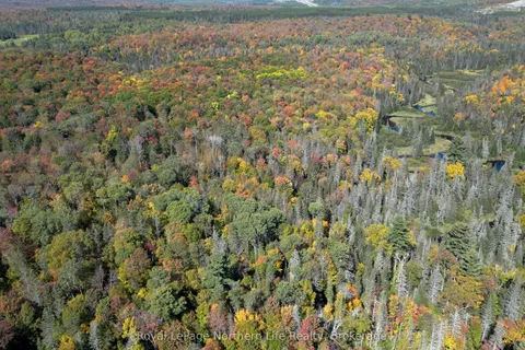 PT LT 5 Con 14 South Horn Lake Road, ON P0A 1C0