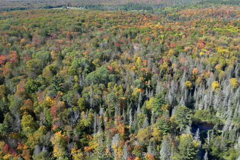 PT LT 5 Con 14 South Horn Lake Road, ON P0A 1C0