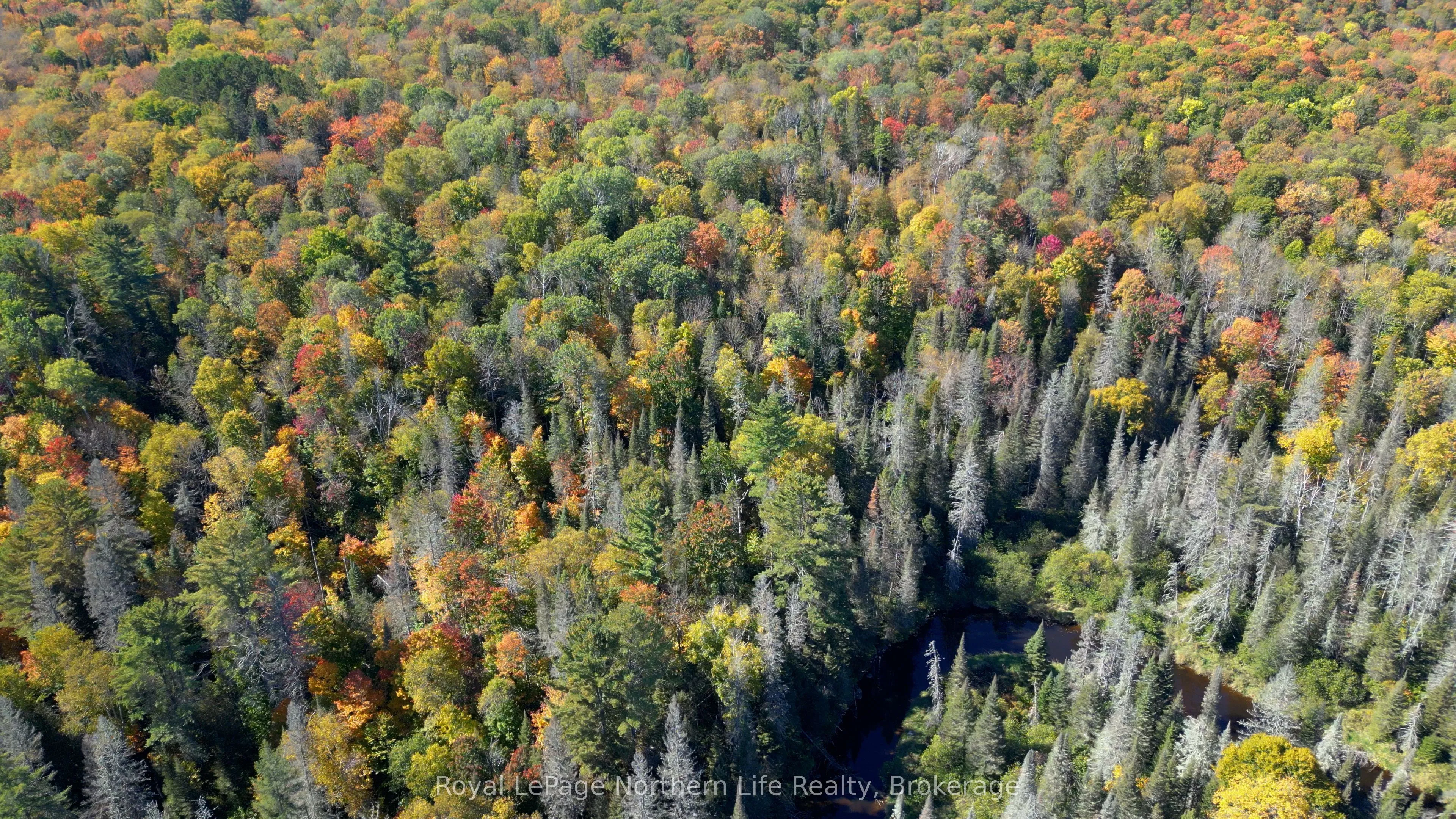 PT LT 5 Con 14 South Horn Lake Road, ON P0A 1C0