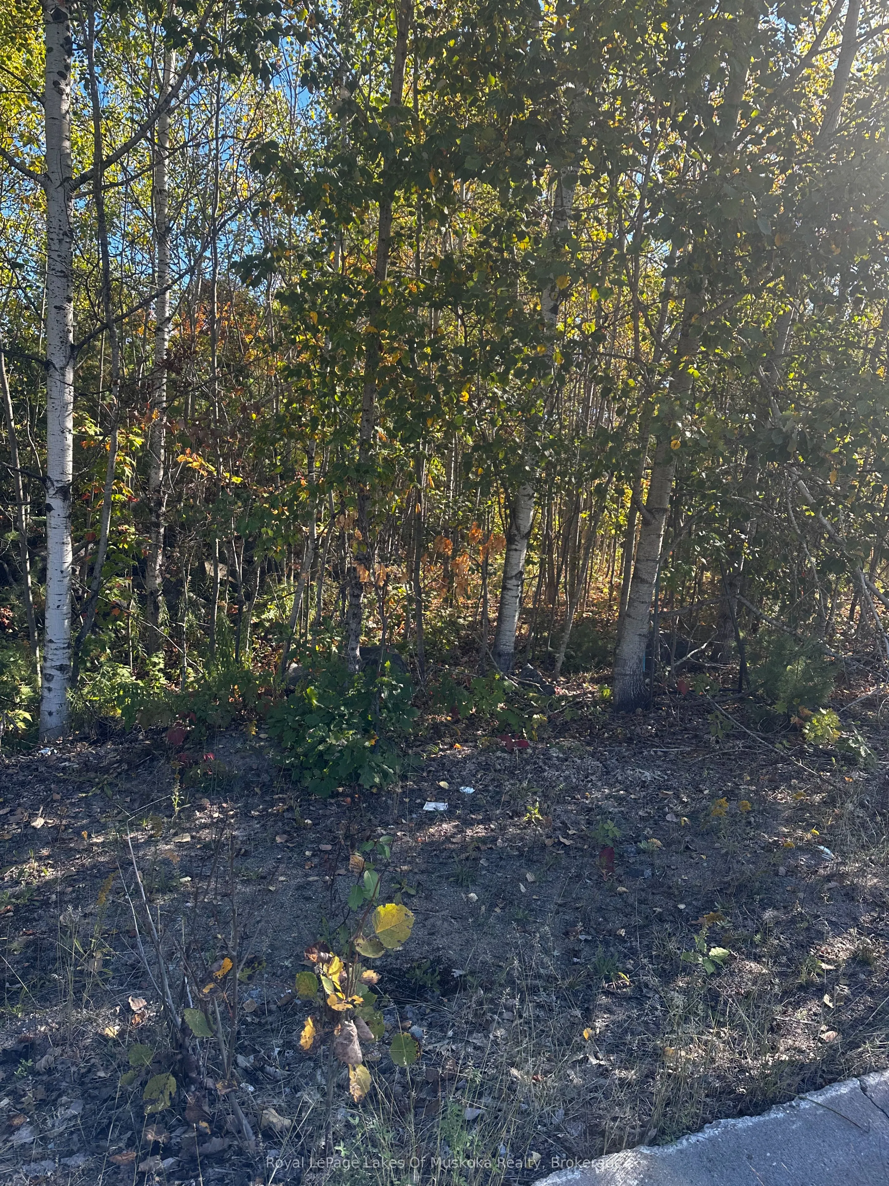 23 Freeland Drive, ON P1P 1Z6