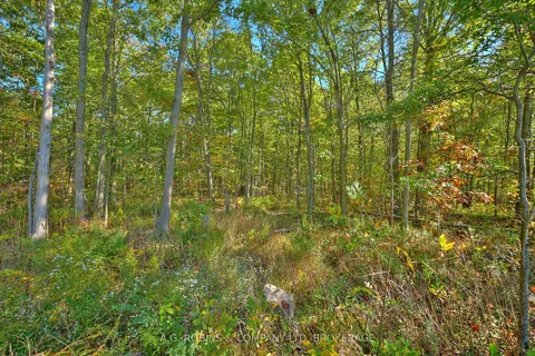 14440 Mckenney Road, ON L3B 5N7